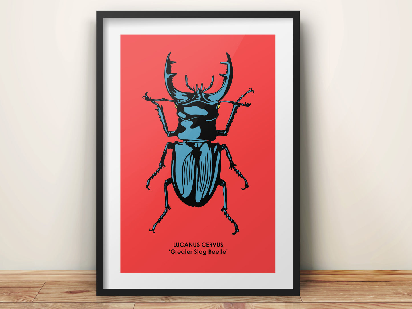 STAG BEETLE